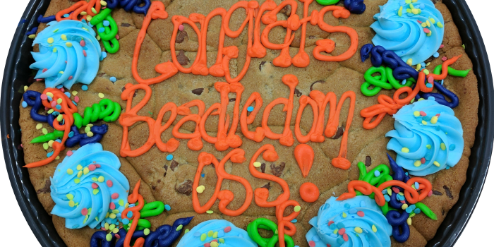 Beadledom - Simple Java framework for building REST APIs